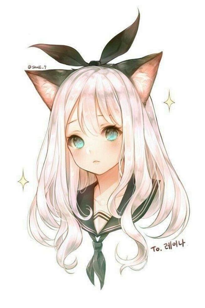 猫耳娘