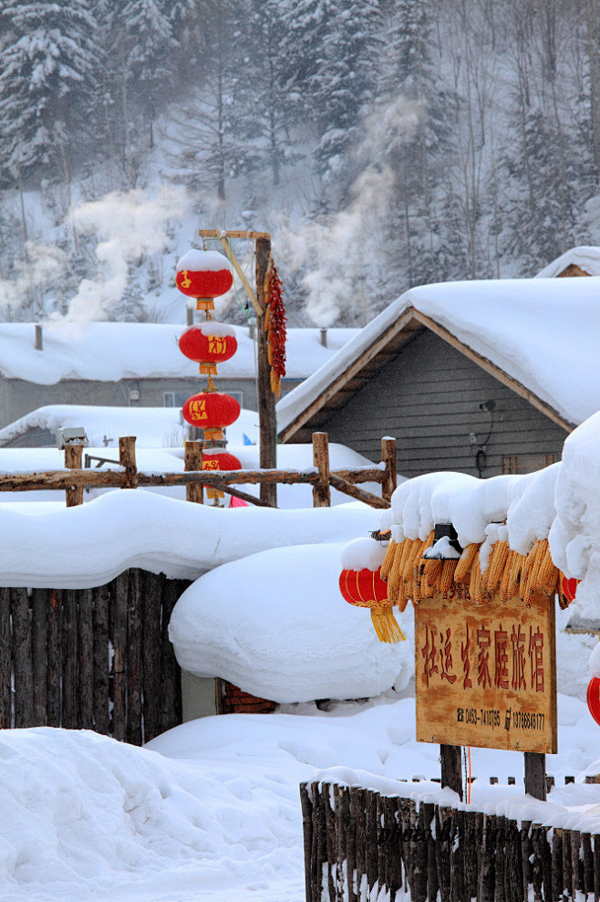 【图】【图片27】《2013年元月的雪乡...