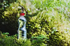 塑胶,草,瓶子,河流,背景,自然,干净,透明,苔藓,水
