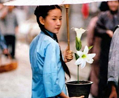 寻寻觅觅%采集到花花世界