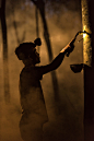 Man Tapping Rubber Tree by Sasin Tipchai on 500px