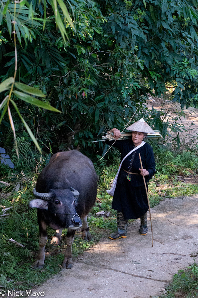 A Tay (Zhuang) woman...