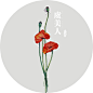点击查看下一张