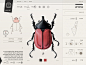 Insect Definer on Behance