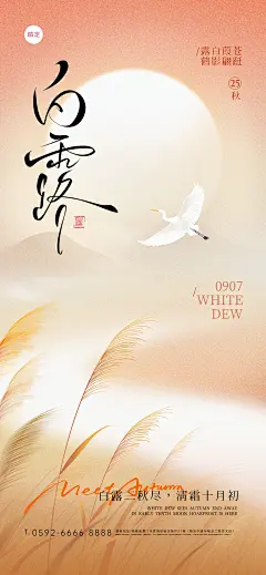 白露节气肌理感渐变芦苇白鹭海报