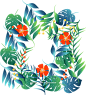 [美工云]Tropical-plant-flowers矢量热带植物元素_PNG：