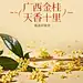 又是一年桂花开，闻到香味了吗❓ - 小红书