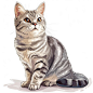 an illustration of a black and white cat with blue eyes in the style of portrait painter light