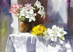 韩国水彩插画师Yang Won Hui | 瓶中花-文化频道-手机搜狐