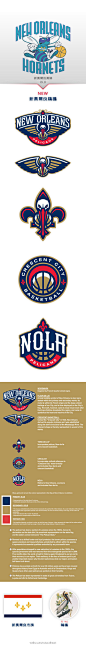 NBA球队 原 新奥尔良黄蜂 更名为 新奥尔良鹈鹕