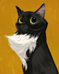 Cats : Various cat portraits done for fun