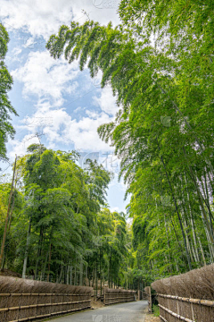 悟空452126采集到美丽乡村