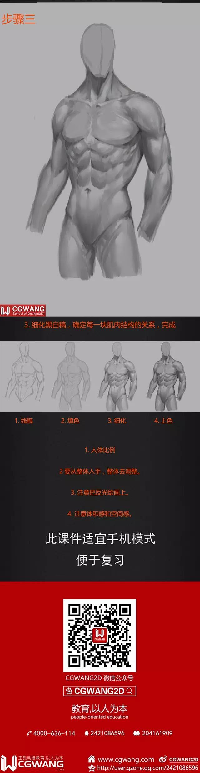 【CGWANG】旺旺哒教程《男人体系列-...