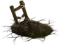 16231