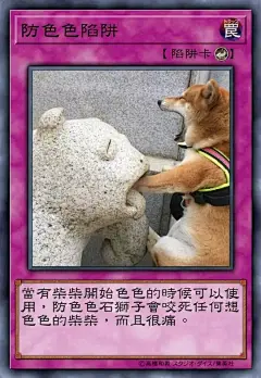 【表情包】色色柴犬