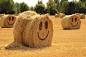 03971_秋季收获的稻草卷成圆捆上面画着笑脸象征着收获的喜悦背景花纹素材设计.jpg (6000×4000)
