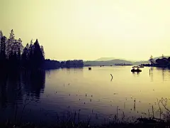 东湖梅园~和麻麻一起去的，忘带学生证，全价坑了我40大洋！(#‵′) 