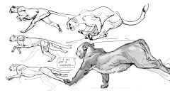 镧Lan采集到furry