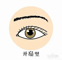 双眼皮的四种形态(纪柳)