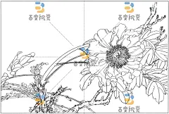 K24064-牡丹50.jpg