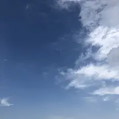采集图片