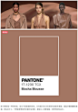 揭秘！PANTONE2025年度代表色——摩卡慕斯