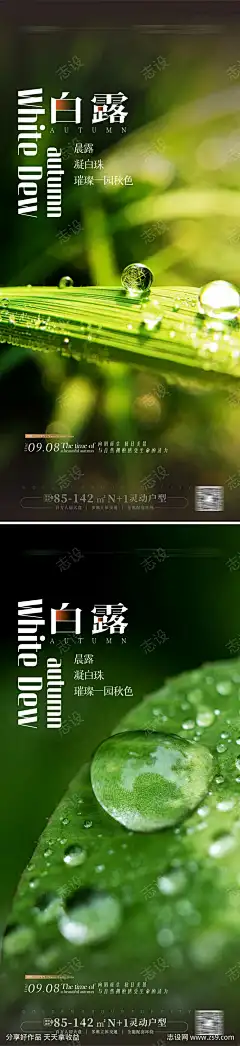 白露海报 _源文件下载_CDR格式_1767X7697像素-晨露,白露,白露海报-作品编号:2023081910533841-源文件下载-志˰设ˈ̹网