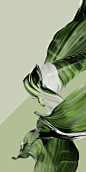 Elegant Curves: Abstract Photography of h Hyper-Realistic Water and Organic Forms