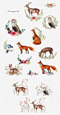 花圈文艺森系水彩花卉森林动物装饰图案PNG免抠设计素材 (3)