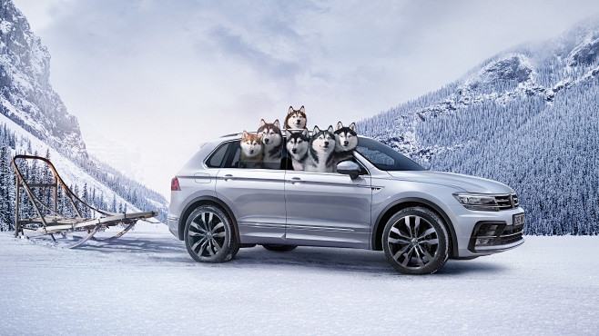 Volkswagen Huskies :...