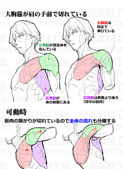 正野一健采集到教程