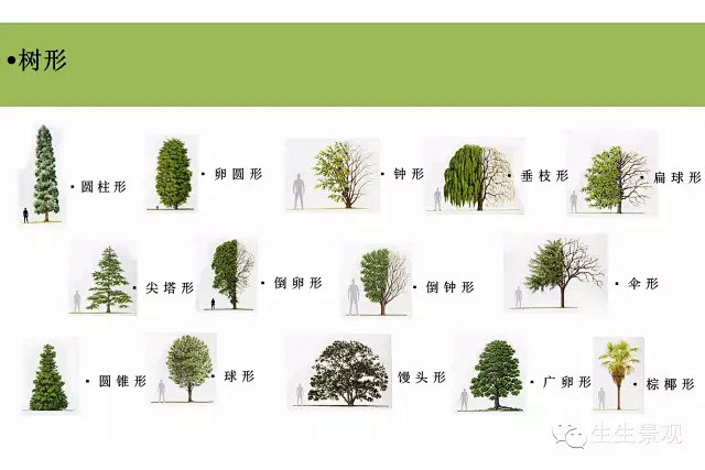 植物配置还在撒豆子？组团式搭配学起来！