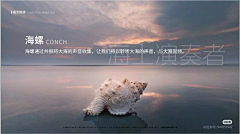 卢慧婷-lht采集到01-文本-街道