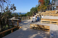 落叶生根采集到高山景观平台