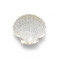 超高清 海星 海螺 贝壳 珊瑚 海马等 航洋生物主题 png元素 shell-59