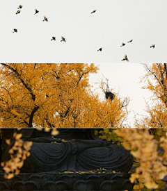 罅里采集到风光