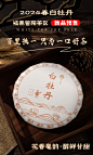 白牡丹龙年饼预售海报 复古色 松果 棕色背景