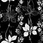 无缝矢量模式与野花在黑色的背景。草鼠豌豆，花和大蕉。轮廓和大纲。