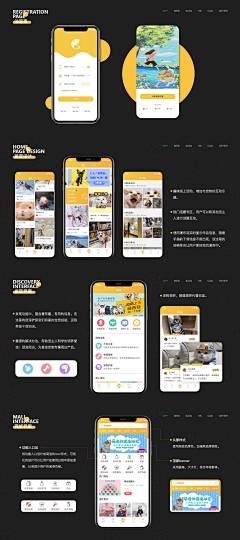 Cc小露采集到APP