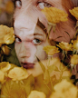 (2402) Pinterest
