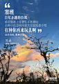这个APP找了一堆广告人来写诗和远方