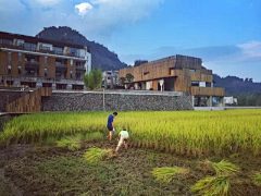 子容DESIGN采集到建筑
