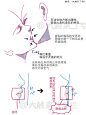 接吻 情侣