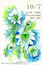 豆芽君的haru酱的微博_微博