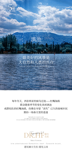 LennyD采集到海报形式