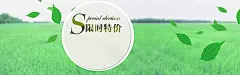 奇幻,梦幻,促销,化妆品,护肤品,面膜,限时特价,海报banner,文艺,小清新,简约图库,png图片,,图片素材,背景素材,2675878北坤人素材@北坤人素材