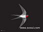 候鸟南飞！20款燕子元素Logo设计UI设计作品LOGO形状Logo首页素材资源模板下载