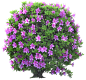 1 (6)
