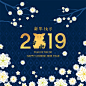 2019中式猪年花纹底纹灯笼大红新年海报