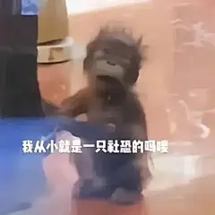 最近很火的吗喽表情包来咯！ - 知乎